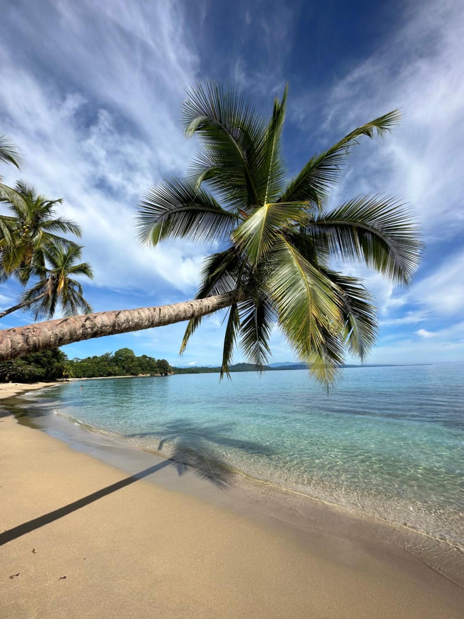 Oso Perezoso Pool Villa Puerto Viejo de Talamanca 外观 照片