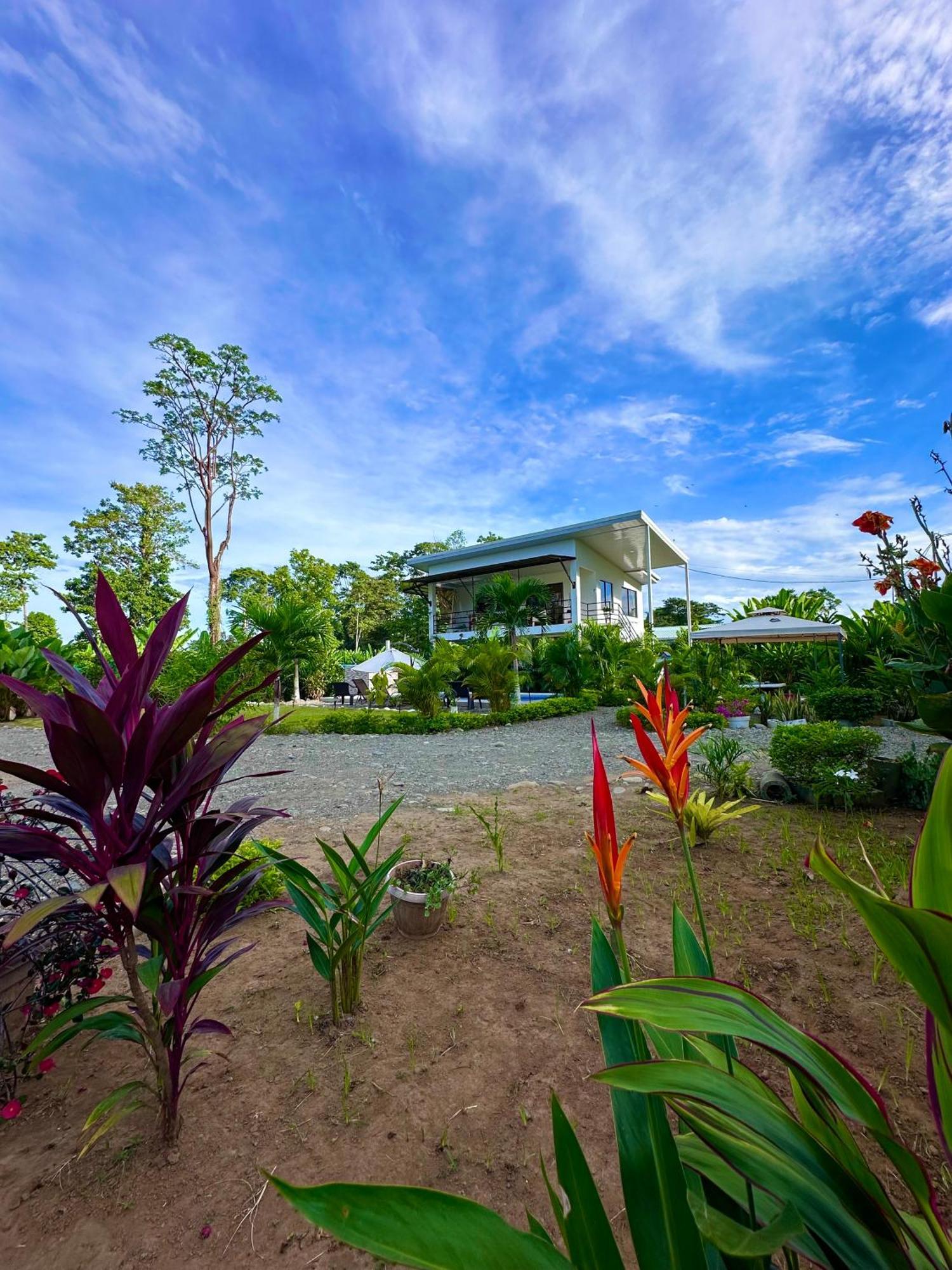 Oso Perezoso Pool Villa Puerto Viejo de Talamanca 外观 照片
