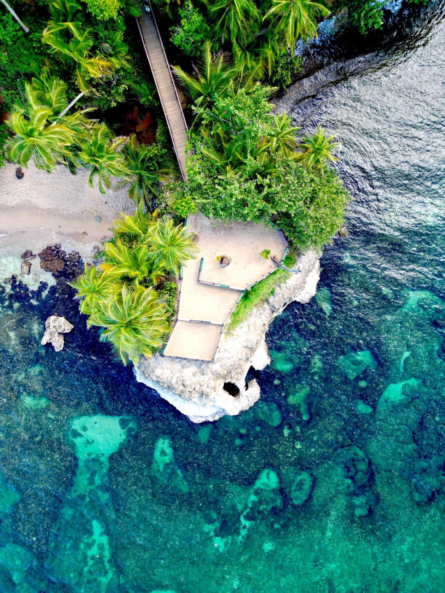 Oso Perezoso Pool Villa Puerto Viejo de Talamanca 外观 照片