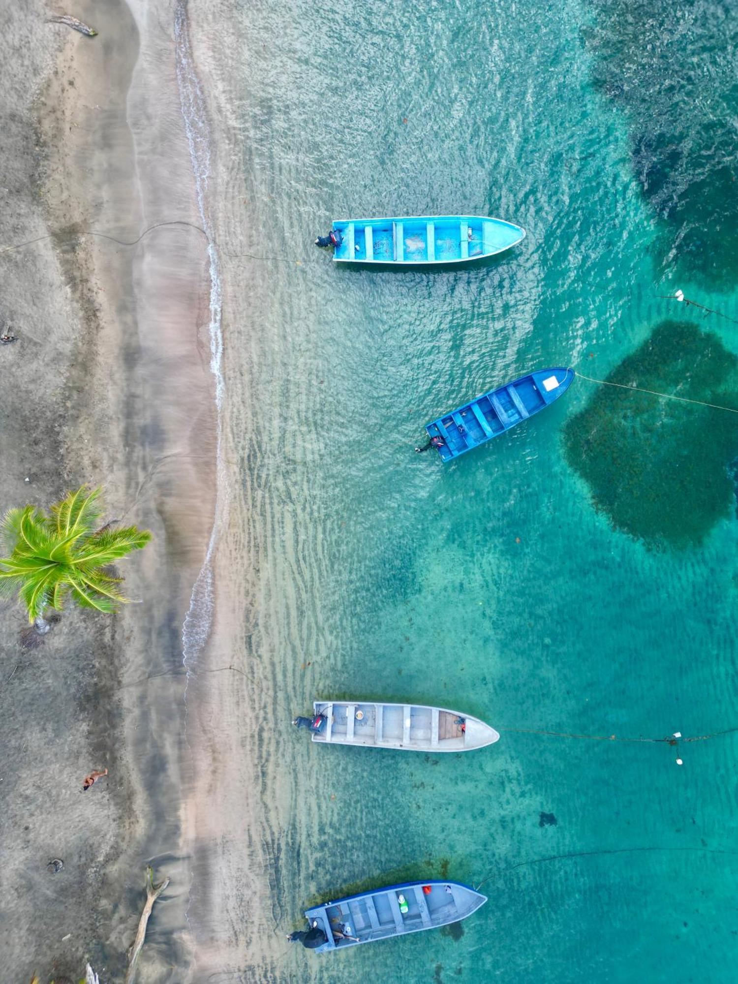 Oso Perezoso Pool Villa Puerto Viejo de Talamanca 外观 照片